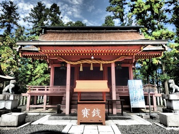 130日吉神社本殿173.JPG