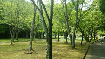 岩戸公園DSC_0026.JPG