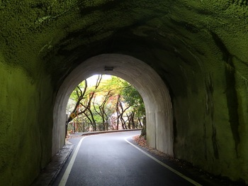 川湊灯台へトンネル113.JPG