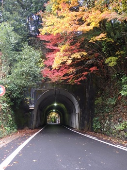 川湊灯台へトンネル116.JPG